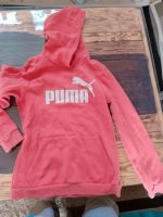 Hoodie Puma in 164 Baden-Württemberg - Scheer Vorschau