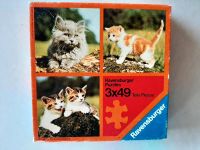 Kätzchen Katzen Puzzle Hessen - Hünfeld Vorschau