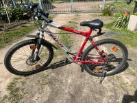 Thrill Mountainbike Ludwigslust - Landkreis - Neustadt-Glewe Vorschau