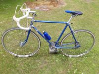 Rennrad Peugeot Vintage Kreis Ostholstein - Grube Holst Vorschau