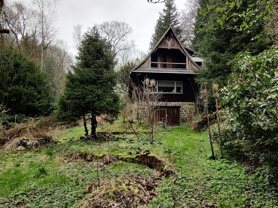 Großes naturbelassenes Grundstück in Sonneberg-Hüttensteinach in Sonneberg