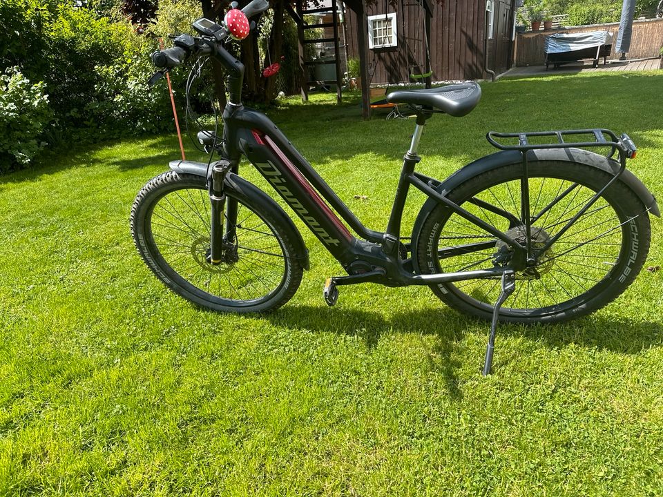 E- Bike Damen in Maisach