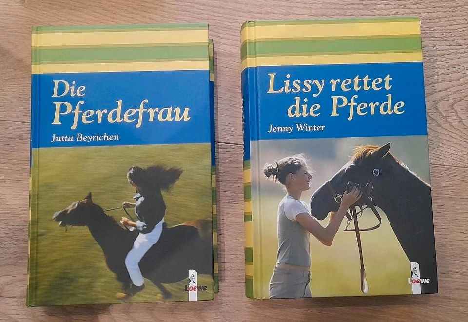 Die Pferdefrau, Lissy rettet die Pferde, Pferdebuch in Traitsching