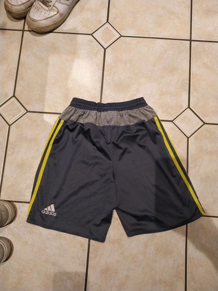 Herren/Jungs Shorts in Bünde