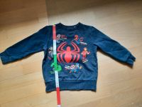 Sweatshirt Pulli Spiderman Marvel Nürnberg (Mittelfr) - Oststadt Vorschau