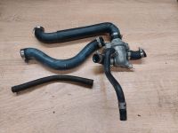 Suzuki SV 650 1999-2002 Kühlerthermostat/Kühlerschlauch Hessen - Schwalmstadt Vorschau