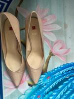 Högl Damen Schuhe Frankfurt am Main - Kalbach-Riedberg Vorschau