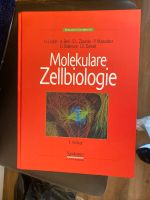 Molekulare Zellbiologie Lodish 4.Auflagr Berlin - Treptow Vorschau