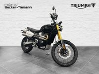 Triumph Scrambler 1200 XE Nordrhein-Westfalen - Paderborn Vorschau
