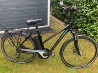 Raleigh E-Bike Herren Nordrhein-Westfalen - Bad Salzuflen Vorschau