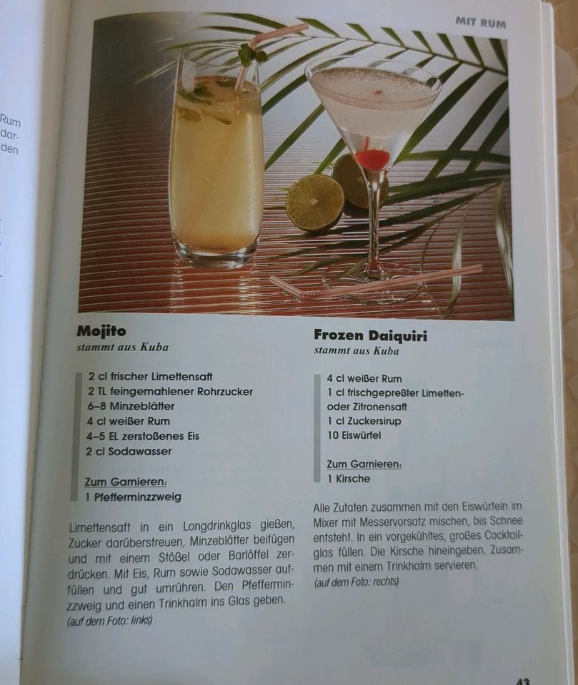 Cocktail Rezepte Kochbuch in Meldorf