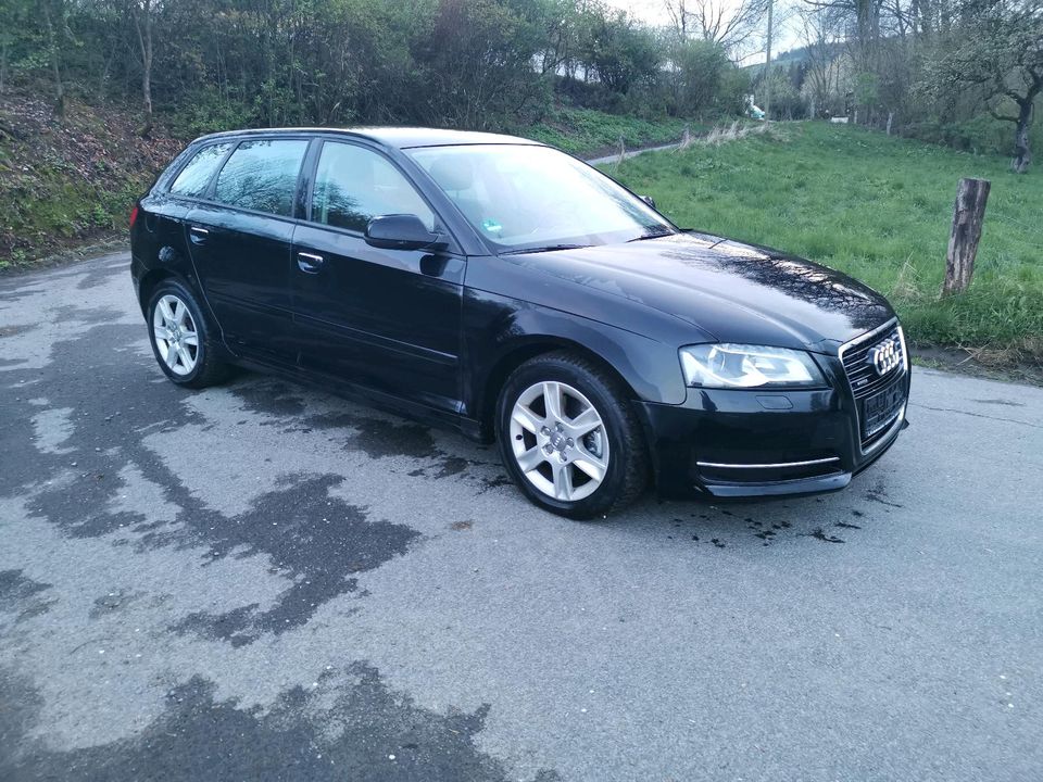 Audi A3 Sportback 2.0 TDI Quattro Tüv 02/2026 Bastler oder Export in Bad Berleburg