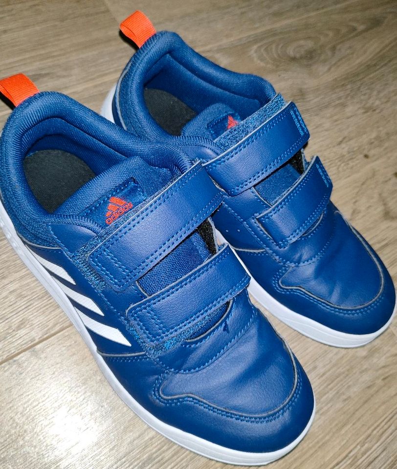 Adidas Schuhe (Halle) Gr. 36 in Freiberg am Neckar