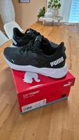 Puma Schuhe Gr.40 Bayern - Neuburg a.d. Donau Vorschau