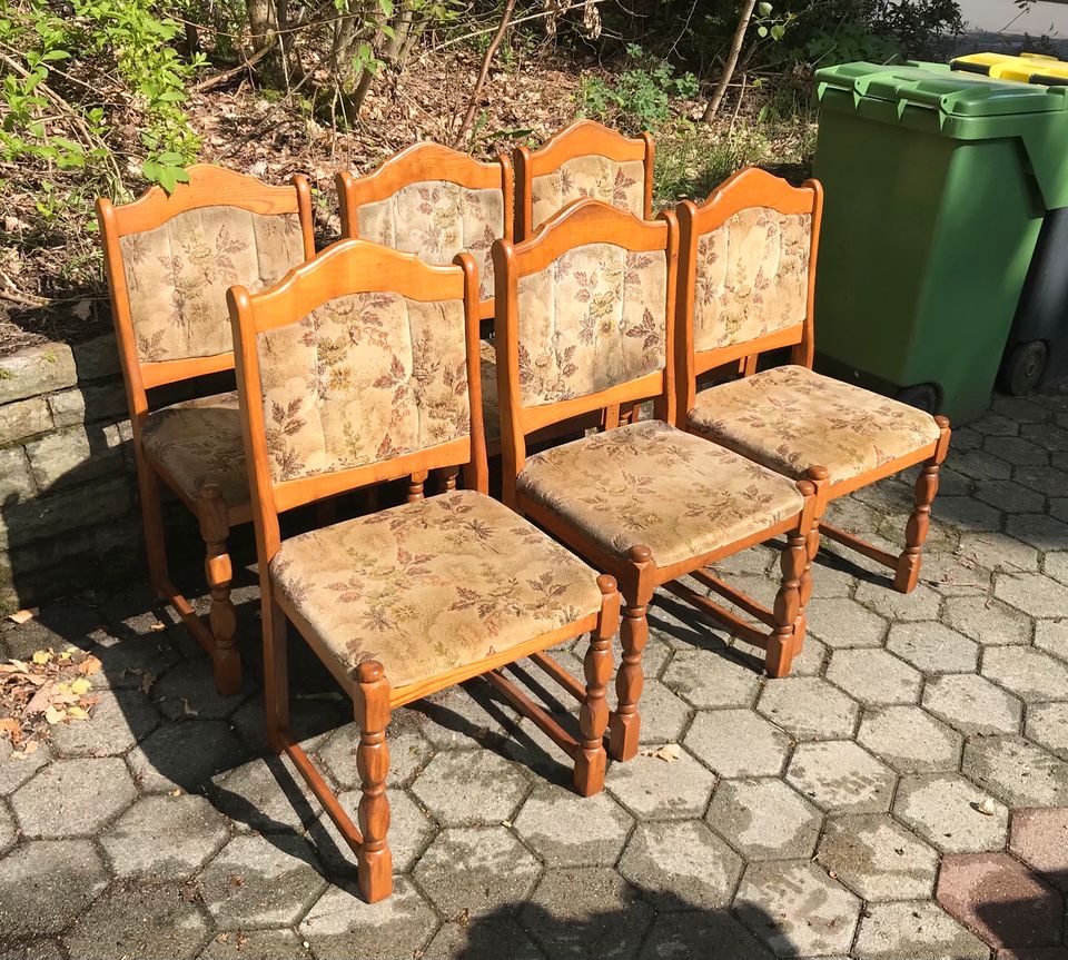 Esszimmer Stühle in Meinerzhagen
