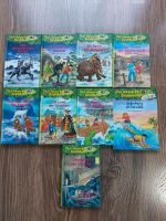 Kinderbücher Das magische Baumhaus 2,5,7,10,12,14,15,25,31 Harburg - Hamburg Wilstorf Vorschau