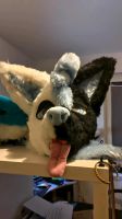 Fursuit/Furry Head plus Charakterrechte Niedersachsen - Miele Vorschau