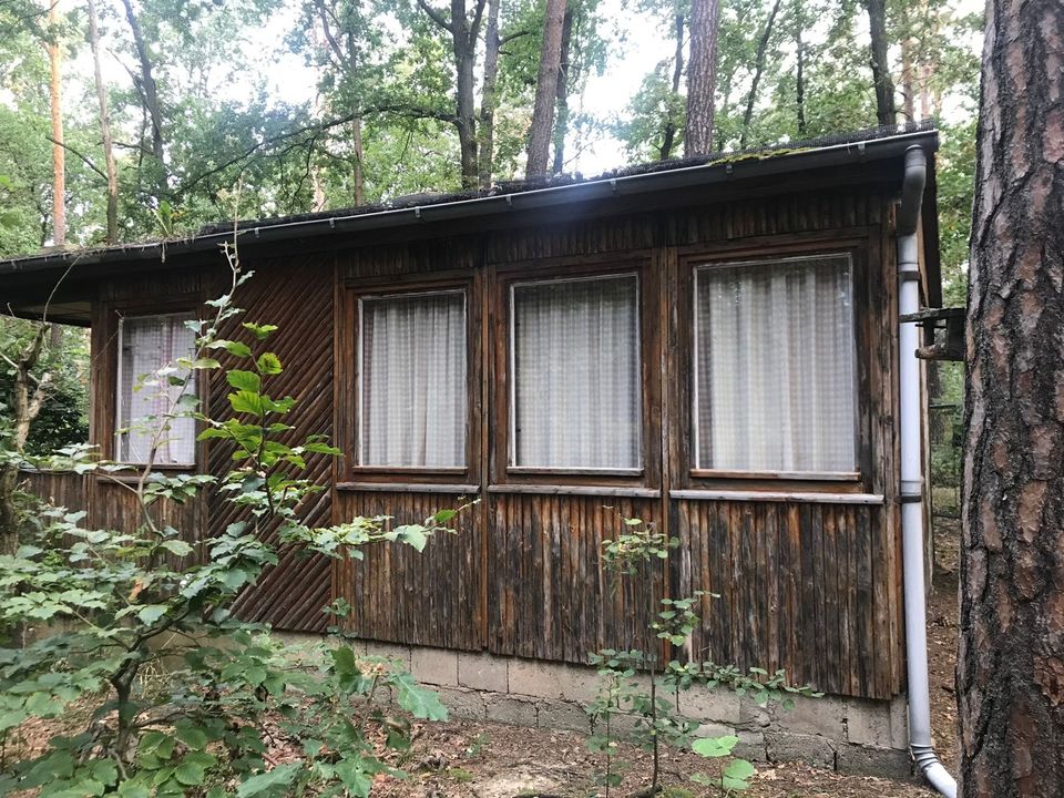 Kleiner Holz-Bungalow auf sicheren Pachtland zu verkaufen in Wurzen