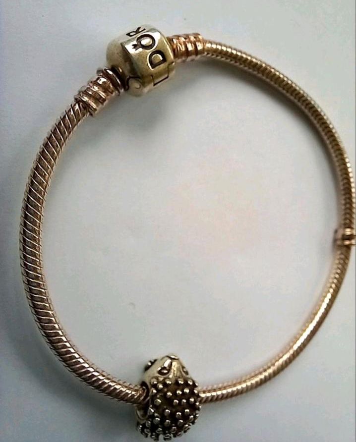 PANDORA 925er Armband mit Igel mit Zylinder-Verschluss in Leipzig