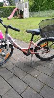 Falter 20 Zoll Kinder Fahrrad mit Korb Nordrhein-Westfalen - Vreden Vorschau