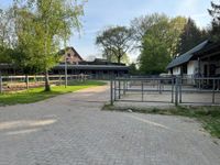 Bieten einen Ganzjahresplatz in Freizeitstall / Box / Weide Schleswig-Holstein - Holstenniendorf Vorschau