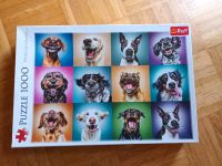 Puzzle mit schönen Hunden Niedersachsen - Oldenburg Vorschau