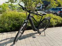 Bulls Carbon Evo Cross Lite Trekking eBike Bayern - Nittendorf  Vorschau