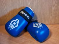 Handschuhe Kickboxen Nordrhein-Westfalen - Lüdenscheid Vorschau