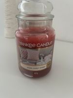 Yankee candle pink Rheinland-Pfalz - Kaiserslautern Vorschau