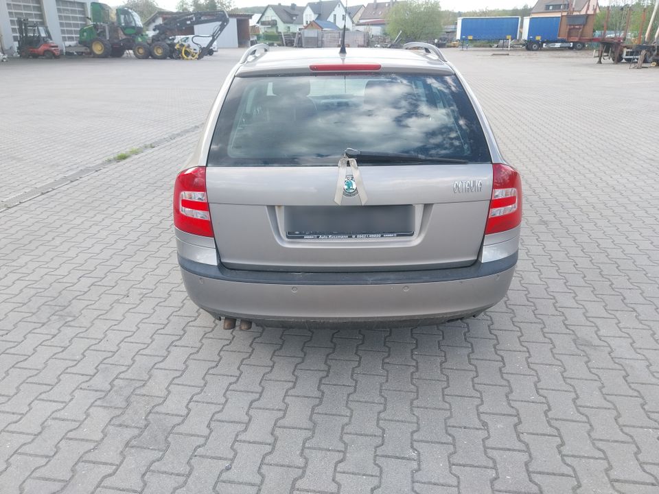 skoda octavia in Mitterteich