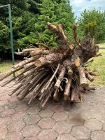 Holz Wurzel zuverschenken Niedersachsen - Rinteln Vorschau