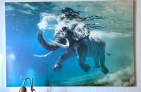 Bild mit schwimmenden Elefanten 1m20x80cm Essen - Steele Vorschau