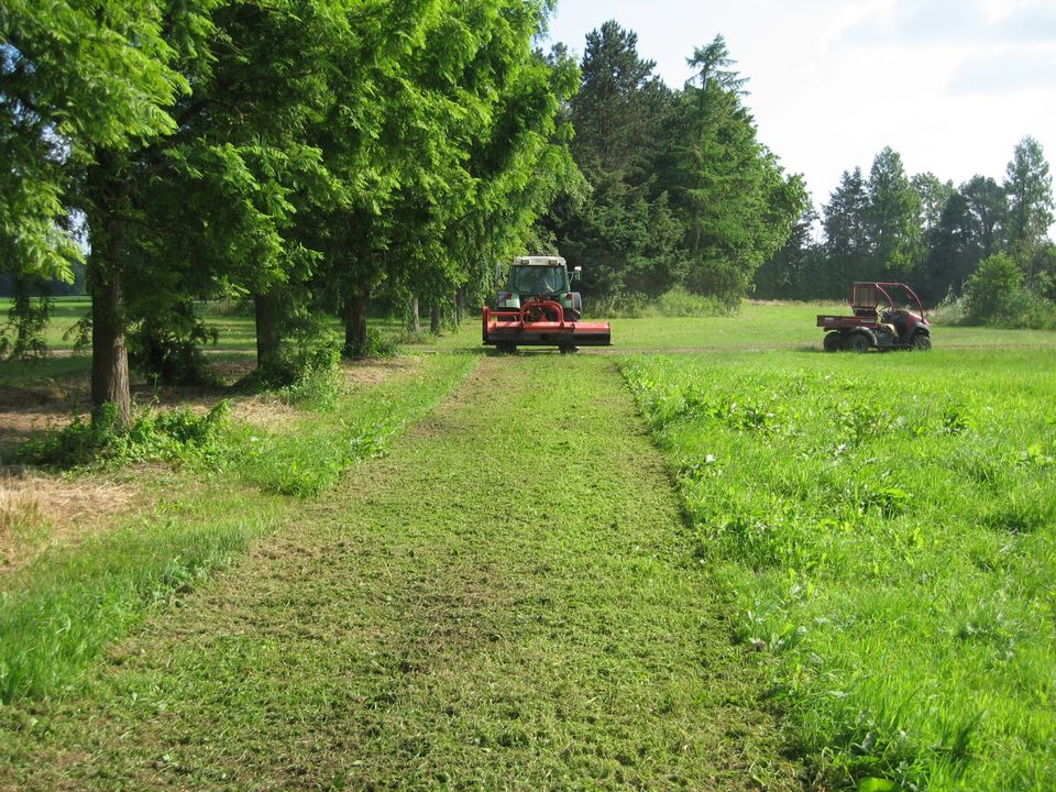 Mulch- und Mäharbeiten mit verschiedenen Arbeitsbreiten in Bad Zwischenahn