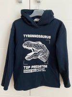 Pullover Hoodie Dinosaurier 134/140 Nordrhein-Westfalen - Iserlohn Vorschau