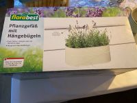 Pflanzgefäß, Blumentopf für Balkon Nordrhein-Westfalen - Gütersloh Vorschau