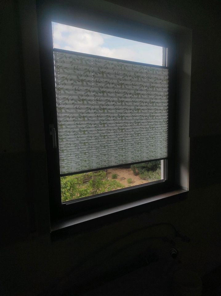 Plissee Rollo für Fenster 100 x 115 cm in Weinböhla