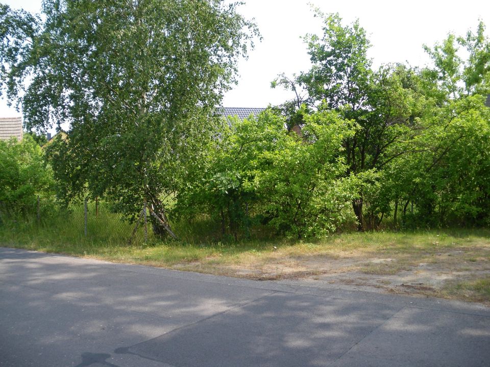 Ruhig gelegenes Grundstück nahe Cottbus in Brandenburg Kolkwitz