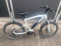 BMW E-Bike Cruiser unisex Sonderedition Thüringen - Veilsdorf Vorschau