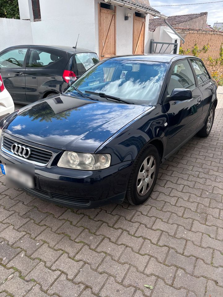 Audi A3 1.6 *Orig.KAT* in Worms