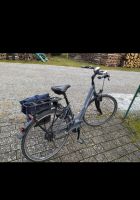 Gudereit E-Bike EC4 Damenrad Bayern - Weißenhorn Vorschau