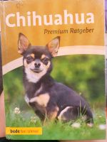 Der Chihuahua Nordrhein-Westfalen - Mettmann Vorschau