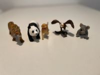 Schleich Tiere Tiger Panda Hund Adler Koala Baden-Württemberg - Karlsruhe Vorschau