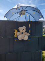 Teddybär Lampe, Deckenlampe Kinderzimmer Niedersachsen - Hohenhameln Vorschau
