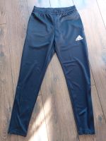 Jogginghose Herren Adidas S Thüringen - Langenwetzendorf Vorschau