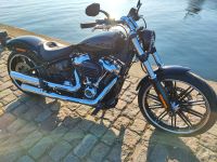 Harley Davidson  Breakout  M8 114  5HD1 Schleswig-Holstein - Flensburg Vorschau