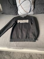 Puma Pullover Gr 164 Eimsbüttel - Hamburg Eimsbüttel (Stadtteil) Vorschau