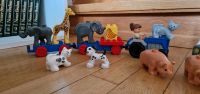 XXL Lego Duplo Zoo Bauernhof Konvolut Nordrhein-Westfalen - Meerbusch Vorschau