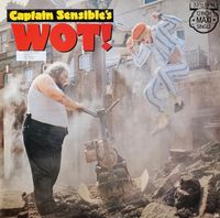 Vinyl Maxi Single Captain Sensible's WOT!  gebraucht Nordrhein-Westfalen - Wiehl Vorschau