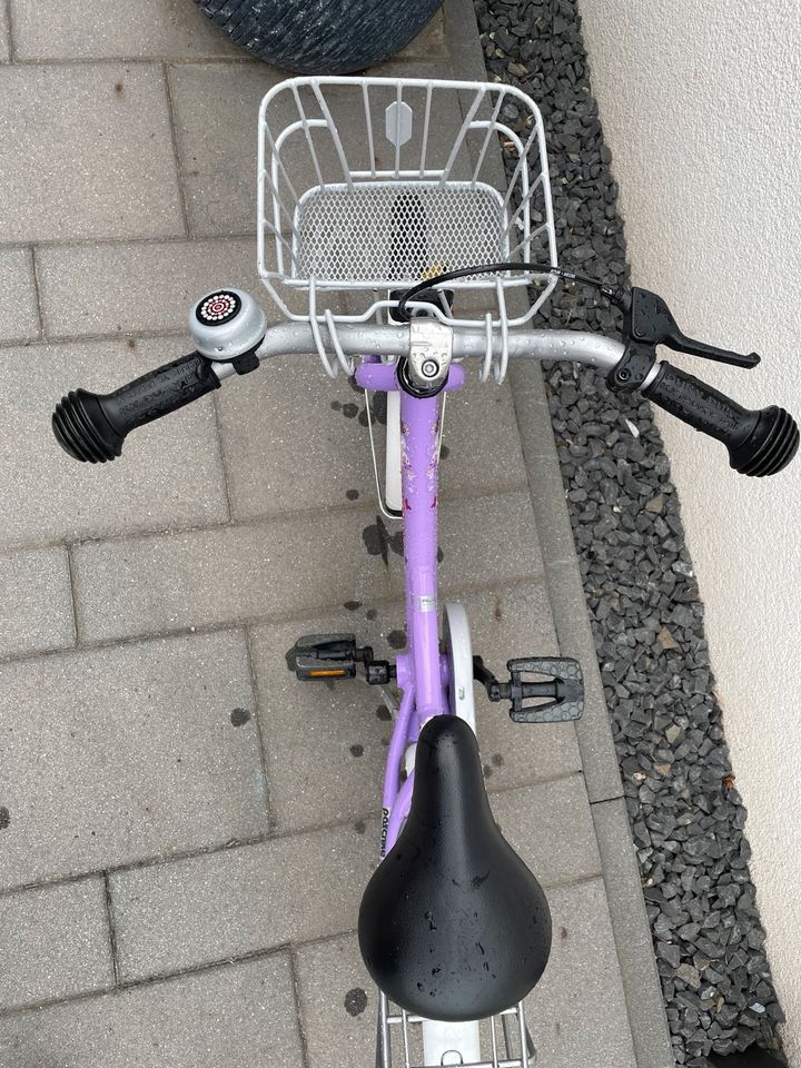 Puky Fahrrad 16 Zoll lila mit Korb in Meine