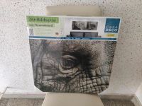 Bildserie Elefant aus Chromoboard Neu Hessen - Bad Homburg Vorschau